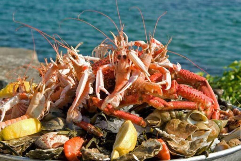 Kermaravel, Le Petit Manoir En Bord De Mer. Saint-Pol-de-Leon Ngoại thất bức ảnh